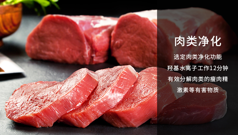 肉类净化