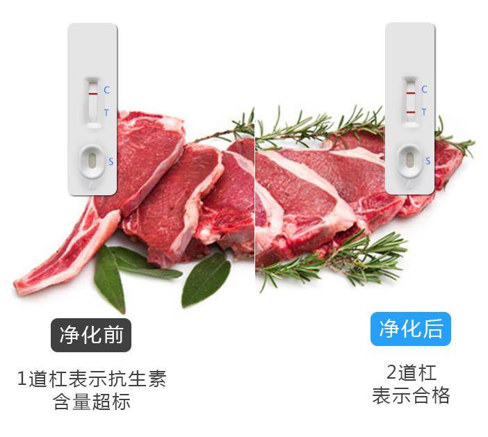 肉类净化效果对比